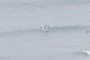 Getting up on a wave
