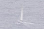Sailboat