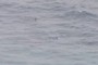 Surfers at Sandy Beach