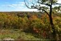 Wildcat Bluff