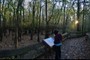 Cache River: Section 8 Woods