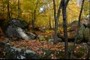 Burden Falls