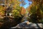Bell Smith Springs