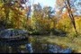 Bell Smith Springs