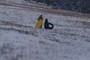 Snow people.