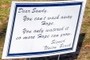 Dear Sandy