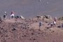 Hikers