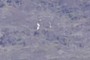 Distant Hikers
