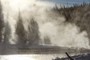 Mist