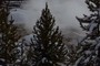 Hot Spring