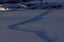 Showshoe Tracks