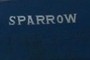 Sparrow