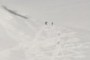 Palmer Snowcat Skiers