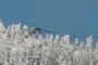 Timberline Ski Area