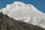 Mt. Hood