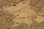 Dazed Martian Starfish