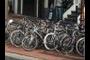Are bicycles popular?