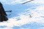 sun and snow