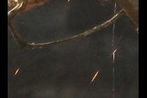 35849-210x140