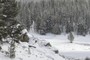 Rocky outcrop