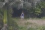 Out in the fields