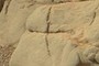 Cross-shaped cut