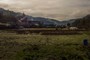 Pictorialscape