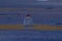 Botella a flote
