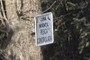 Zona Infantil, Pesca Controlada