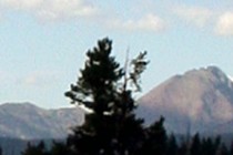 2882-210x140