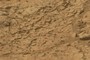 Looks like Mud.