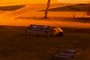 Man and Bench