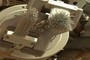 Wire brushes