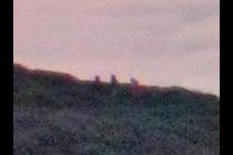 33790-210x140