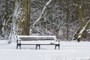 bench