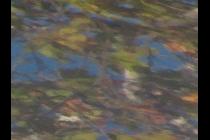 35023-210x140