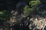 Alien Spacecraft