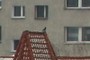 ptak
