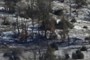 Snow in the forest