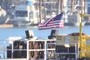 USA Flag