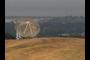 The Dish
