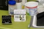 A Salt And Battery