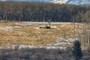 Horse Wind Shelter