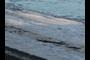 Ice On the Beach