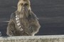 Chewbacca