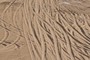 tracks
