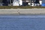 Man running