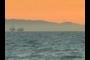 Oil rig and flying bird