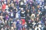 Ravens Super Bowl Champs