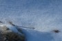 snow and ice